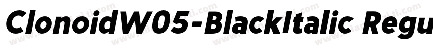 ClonoidW05-BlackItalic Regular字体转换